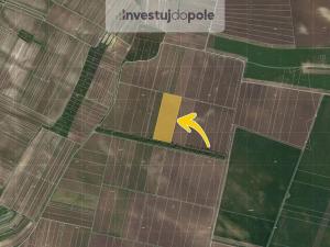 Prodej pole, Novosedly, 31401 m2