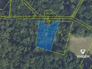 Prodej podílu lesa, Přerov nad Labem, 1325 m2