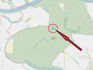 Prodej podílu lesa, Přerov nad Labem, 1325 m2