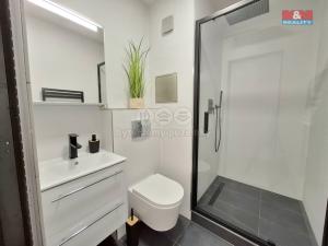 Prodej bytu 1+kk, Karlovy Vary - Drahovice, Boženy Němcové, 20 m2