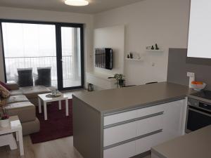 Pronájem bytu 1+kk, Brno, Řípská, 40 m2