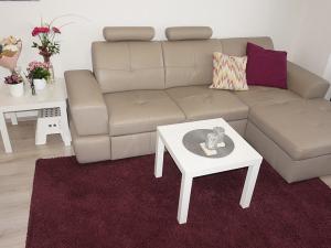 Pronájem bytu 1+kk, Brno, Řípská, 40 m2