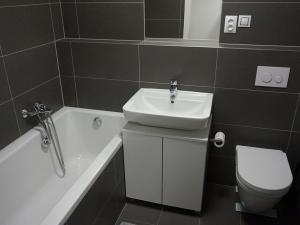 Pronájem bytu 1+kk, Brno, Řípská, 40 m2