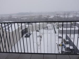 Pronájem bytu 1+kk, Brno, Řípská, 40 m2