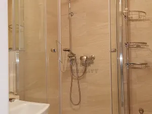 Prodej bytu 2+1, Praha - Vinohrady, Nad Primaskou, 52 m2