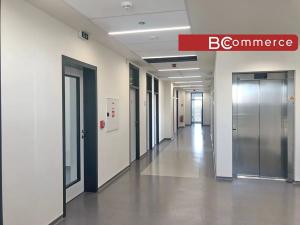 Pronájem kanceláře, Brno, 60 m2