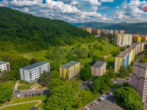 Pronájem bytu 1+1, Ústí nad Labem - Severní Terasa, Šumavská, 36 m2