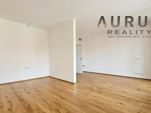 Pronájem bytu 1+kk, Praha - Nusle, Bělehradská, 50 m2