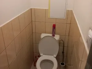 Prodej bytu 3+kk, Mělnické Vtelno, Chorušická, 79 m2