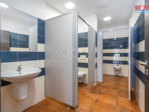 Pronájem obchodního prostoru, Okrouhlo, 1076 m2