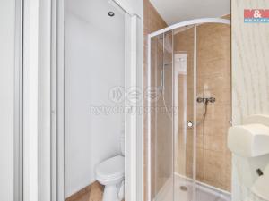 Prodej bytu 1+kk, Hradec Králové - Třebeš, Urxova, 29 m2
