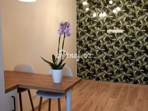 Pronájem bytu 2+kk, Jihlava, Třebízského, 42 m2