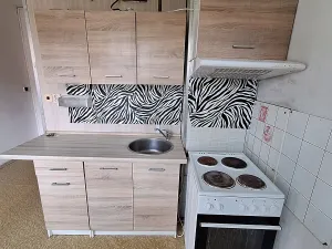 Pronájem bytu 1+1, Ústí nad Labem, Oblá, 41 m2