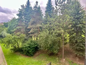 Pronájem bytu 2+1, Praha - Vokovice, Kladenská, 70 m2
