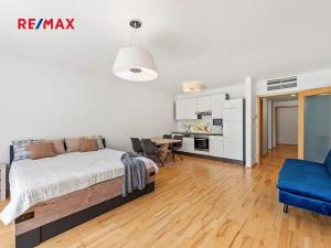 Prodej bytu 1+kk, Praha - Žižkov, Malešická, 59 m2