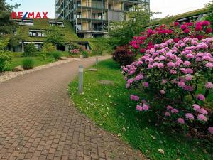 Prodej bytu 1+kk, Praha - Žižkov, Malešická, 59 m2