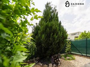 Prodej bytu 1+kk, Brno, Hvozdecká, 40 m2