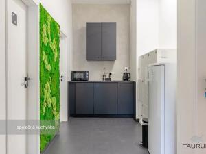 Pronájem kanceláře, Plzeň, Kopeckého sady, 22 m2