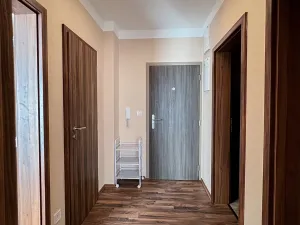 Prodej bytu 2+kk, Mariánské Lázně, Dvořákova, 57 m2
