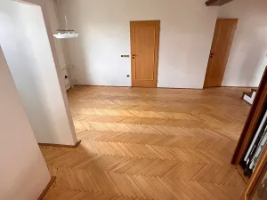 Prodej rodinného domu, Brno, Drdy, 394 m2