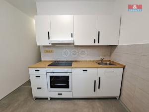 Pronájem bytu 2+1, Petrovice, 58 m2