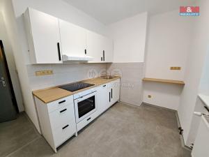 Pronájem bytu 2+1, Petrovice, 58 m2
