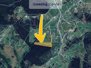 Prodej louky, Mosty u Jablunkova, 2825 m2