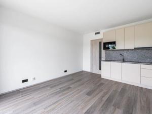Pronájem bytu 1+kk, Praha, Na Zlíchově, 26 m2