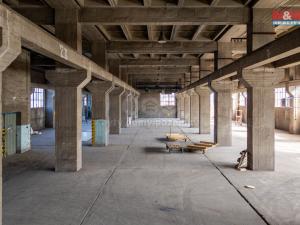 Pronájem výrobních prostor, Ostrava, 12000 m2