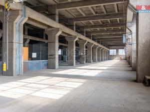 Pronájem výrobních prostor, Ostrava, 12000 m2