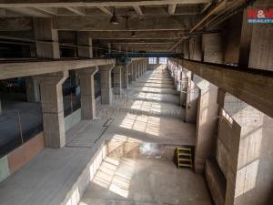 Pronájem výrobních prostor, Ostrava, 12000 m2