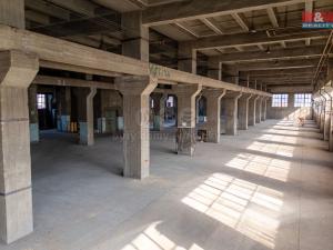 Pronájem výrobních prostor, Ostrava, 12000 m2