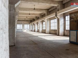 Pronájem výrobních prostor, Ostrava, 12000 m2