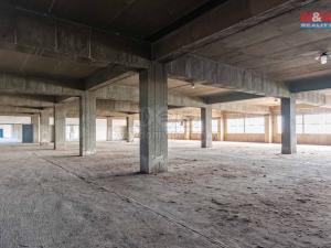 Pronájem výrobních prostor, Ostrava, 12000 m2