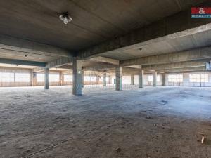 Pronájem výrobních prostor, Ostrava, 12000 m2