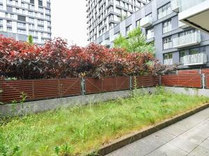 Prodej bytu 2+kk, Praha - Žižkov, Olšanská, 80 m2