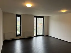 Pronájem bytu 1+kk, Brno, Hlinky, 49 m2