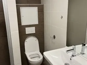 Pronájem bytu 1+kk, Brno, Hlinky, 49 m2