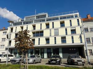 Pronájem bytu 1+kk, Brno, Hlinky, 49 m2