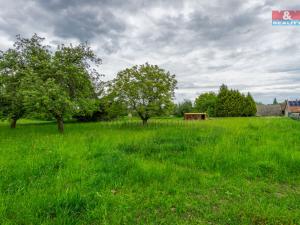 Prodej pozemku pro bydlení, Brloh, 4508 m2