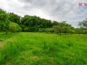Prodej pozemku pro bydlení, Brloh, 4508 m2