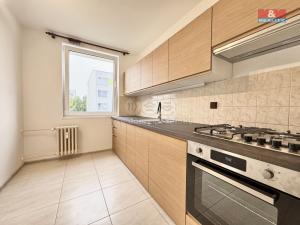Pronájem bytu 4+1, Slaný, Na Dolíkách, 78 m2