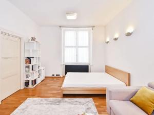 Pronájem bytu 2+kk, Praha - Staré Město, Haštalská, 56 m2
