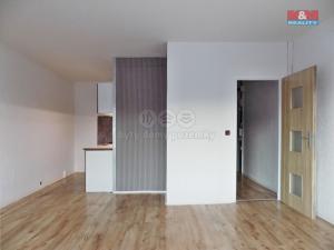 Pronájem bytu 1+kk, Ústí nad Labem - Krásné Březno, V Oblouku, 31 m2