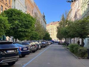 Pronájem bytu 1+1, Brno, Jiráskova, 50 m2