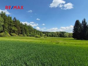 Prodej pozemku pro bydlení, Borová, 5776 m2