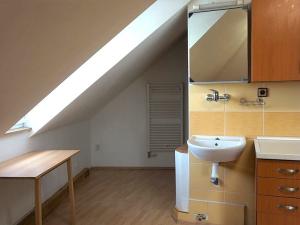 Pronájem bytu 1+kk, Brno, Zelná, 28 m2
