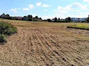 Prodej pozemku pro bydlení, Přepeře, 1020 m2