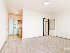 Pronájem bytu 2+kk, Brno, Ukrajinská, 48 m2