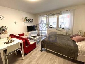 Pronájem bytu 1+kk, Slavkov u Brna, 39 m2